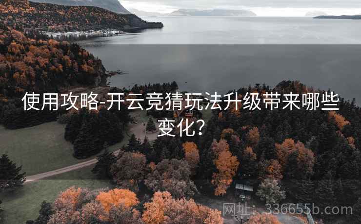 使用攻略-开云竞猜玩法升级带来哪些变化？