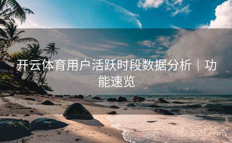 开云体育用户活跃时段数据分析｜功能速览